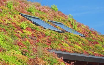 West Malling living roof systems